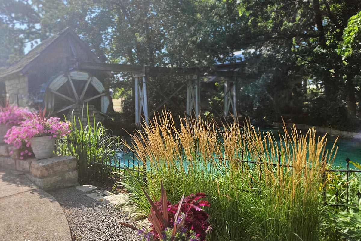 Mill pond garden